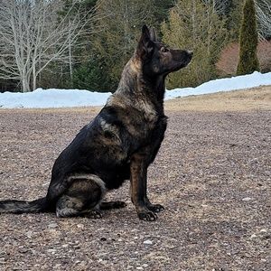 Meet your Posher, Ange